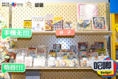 取闲鱼的乐趣社交和可持续契合